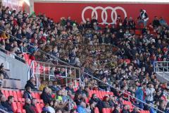 2.BL; FC Ingolstadt 04 - Holstein Kiel; Fans volles Stadion Zuschauer Sportpark