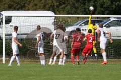 Bezirksliga - Saison 2023/2024 - TSV Gaimersheim - BC Attaching  - Torwart Benedikt Leixner  (Nr.1 - Gaimersheim) - Foto: Meyer Jürgen