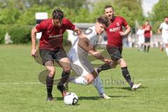 Bezirksliga - Saison 2023/24 - TSV Gaimersheim - SpVgg Kammerberg - Nico von Swiontek Brezinski (Nr.17 - Gaimersheim) - Daniel Seybold rot Kammerberg - Foto: Meyer Jürgen