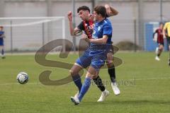 Bayernliga Nord - Saison 2024/25 - FC Ingolstadt 04 II - Würzburger FV 04 - Ognejen Drakulic  (Nr.20 - FCI U21) - Hansen Hendrik blau Würzburg - Foto: Meyer Jürgen