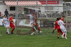 Kreisliga - Saison 2024/25- TSV Kösching - TSV Hohenwart - Nico Prause weiss Hohenwart - Michael Zimmermann Torwart Kösching - Johannes Tannwitz rot Kösching - XXXXX - Foto: Meyer Jürgen