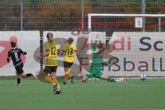 2023_11_12 - 2. Bundesliga - Saison 2023/24 - FC Ingolstadt 04 Frauen - SV 67 Weinberg - Paula Vidovic (Nr.11 - FCI Frauen) - Glaser Franziska Torwart Weinberg - Foto: Meyer Jürgen