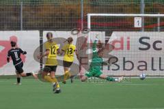 2023_11_12 - 2. Bundesliga - Saison 2023/24 - FC Ingolstadt 04 Frauen - SV 67 Weinberg - Paula Vidovic (Nr.11 - FCI Frauen) - Glaser Franziska Torwart Weinberg - Foto: Meyer Jürgen