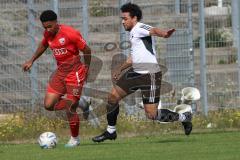 Bayernliga Nord - Saison 2023/2024 - FC Ingolstadt 04 - FC Coburg - David Udogu rot FCI - Tevin Mc Cullough weiss Coburg - Foto: Meyer Jürgen