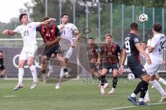 Testspiel ; 3. Liga; FC Ingolstadt 04 - VfR Mannheim; Sebastian Grönning (11, FCI) Tor Jubel Treffer 1:0