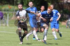 Kreisliga - Saison 2024/25- SV Menning - TSV Ober/Unterhaunstadt-  - Fardin Gholami grau Ober/Haunstadt - Moritz Faigle blau Menning - Foto: Meyer Jürgen