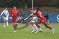 3. Liga; TSV Havelse - FC Ingolstadt 04; Zweikampf Kampf um den Ball Dennis Kayigin (10, FCI) Nduka Donald (27 TSV) Obed Ugondu (17, FCI) Grzywacz Eryk (12 TSV)