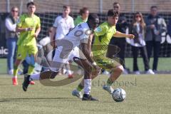 U17 DFB-Nachwuchsliga - Saison 2024/25 - FC Ingolstadt 04 - TSG Hoffenheim - Omotolani Oladosu weiss FCI - XXXXX - Foto: Meyer Jürgen