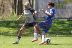 Kreisliga - Saison 2024/25- SV Menning - TSV Ober/Unterhaunstadt-  - Amadeus Taubert grau Ober/Haunstadt - Moritz Mayerhofer blau Menning - Foto: Meyer Jürgen