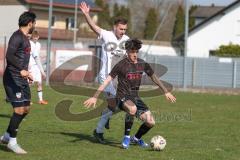 Bayernliga Nord - Saison 2025/26 - FC Ingolstadt 04 II - SpVgg Bayern Hof - Damian  Coric (Nr.17 - FC Ingolstadt II)- Niklas Stadelmann weiss Bayern Hof  - Foto: Meyer Jürgen