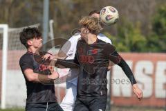 Bayernliga Nord - Saison 2025/26 - FC Ingolstadt 04 II - SpVgg Bayern Hof - Patrick Bachmann (Nr.8 - FC Ingolstadt II) - Niklas Stadelmann weiss Bayern Hof  - Foto: Meyer Jürgen