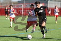 B-Junioren Bundesliga  - Saison 2023/24 - B-Junioren - FC Ingolstadt 04 - FC Bayern München - Polat Arel schwarz FCI - Hoffmann Tim weiss München - Foto: Meyer Jürgen