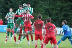 Landesliga - Saison 2025/26 - SV Manching - TSV Dachau  - Marcel Posselt (Nr.12 - SV Manching) - Anonio Jurleta grün MAnching - John Haist rot Dachau - Foto: Meyer Jürgen