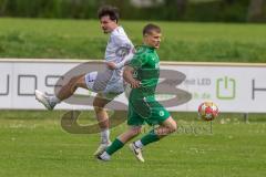 Landesliga - Saison 2024/25 - SV Manching - FC Kempten - Sebastian Graßl (Nr.10 - SV Manching) - Graf Marcel weiss Kempten - Foto: Meyer Jürgen