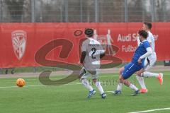 AUDI - Schanzer Amateur Cup - Halbfinale 1 - Saison 2024/25 - FC Mindelstetten - SV Menning - Der 0:1 Führungstreffer durch Noah Kamenjasevic blau Menning - jubel - Stefan Liebler weiss rechts Mindelstetten - Simon Schweiger weiss #2 Mindelstetten - Foto: