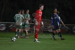 Landesliga - Saison 2025/26 - SV Manching - SC Oberweikertshofen - Der 3:0 Führungstreffer durch Rainer Meisinger (Nr.8 - SV Manching) - jubel - XXXXX - Foto: Meyer Jürgen
