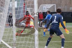 A-Junioren - Bundesliga Süd FC Ingolstadt 04 - TSG 1899 Hoffenheim - Michael Udebuluzor (Nr.9 - FCI A-Junioren) - Gebauer Leon blau Hoffenheim - Blöndal Petersson Torwart Hoffenheim -  Foto: Meyer Jürgen