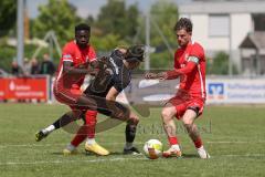 Bezirksliga - Saison 2024/25- TSV Gaimersheim - FC Fatih Ingolstadt - Hakan Düzgün (Nr.25 - TSV Gaimersheim) - Boubacarr Saho rot Fatih links - Erdogan Nasufaj rot Fatih - Foto: Meyer Jürgen