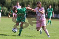 Bezirksliga - Saison 2025/26- TSV Gaimersheim - SVA Palzing - Denis Janjic (Nr.31 - TSV Gaimersheim) - Marcel Radlmaier grün Palzing  - Foto: Meyer Jürgen