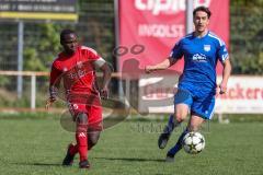 Kreisklasse - Saison 2024/25- Türk SV Ing - FC Arnsberg - Ousseynou Tamba rot Türk sv - Oliver Bauer blau Arnsberg - Foto: Meyer Jürgen