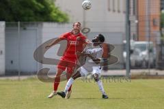 Bayernliga Nord - Saison 2023/24 - FC Ingolstadt 04 II - TSV Abtswind - Fabio Riedl (Nr.24 - FCI) - Tuda Jayson weiss Abtswind - Foto: Meyer Jürgen