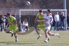 U17 DFB-Nachwuchsliga - Saison 2024/25 - FC Ingolstadt 04 - TSG Hoffenheim - Timo Hengmith weiss FCI - Tom Fiederer gelb Hoffenheim - Foto: Meyer Jürgen