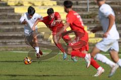 2023_10_21 - Saison 2023/24 - A-Junioren - FC Ingolstadt 04 - TSG 1899 Hoffenheim - Erdal Izzet weiss Hoffenheim - Draculic Ognjen rot FCI -  - Foto: Meyer Jürgen