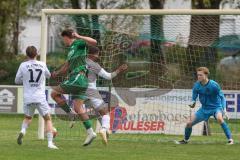 Landesliga - Saison 2024/25 - SV Manching - FC Kempten -  Der 1:0 Führungstreffer durch - Simon Berger (Nr.5 - SV Manching) - jubel - Krieger Adrian #13 Kempten - Siebken Christoph Torwart Kempten - Seifert Alexander #17 Kempten - Foto: Meyer Jürgen