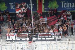 3. Liga - Saison 2026/27 - SC Sonnenhof Großaspach - FC Ingolstadt 04 -  mitgereiste Fans -  - XXXXX - Foto: Meyer Jürgen