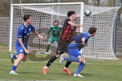 Bayernliga Nord - Saison 2024/25 - FC Ingolstadt 04 II - Würzburger FV 04 - Davide Sekulovic (Nr.7 - FCI U21) - Gobbo Fabio blau Würzburg links - Hansen Hendrik blau Würzburg - Foto: Meyer Jürgen