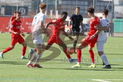 A-Junioren Bundesliga  - Saison 2023/24 - A-Junioren - FC Ingolstadt 04 - 1.FC Heidenheim - Jason Osei Tutu (Nr.24 - FCI) - XXXXX - Foto: Meyer Jürgen