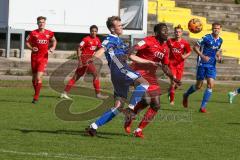 A - Junioren Bundesliga Süd/Südwest -  Saison 2021/2022 - FC Ingolstadt 04 - Karlsruher SC - Madougou Ibrahim (#9 FCI) - Foto: Meyer Jürgen