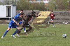 Bayernliga Nord - Saison 2024/25 - FC Ingolstadt 04 II - Würzburger FV 04 - Jason Osei Tutu (Nr.11 - FCI U21) - XXXXX - Foto: Meyer Jürgen