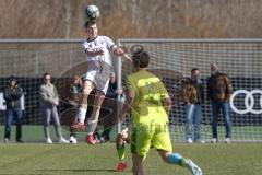 U17 DFB-Nachwuchsliga - Saison 2024/25 - FC Ingolstadt 04 - TSG Hoffenheim - Felix Walther weiss FCI - XXXXX - Foto: Meyer Jürgen