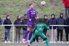 Testspiel - Fußball - SV Manching - VFR Neuburg/Donau  - Rutkowski Sebastian lila Neuburg - Ousseynou Tamba (#10 Manching) - Foto: Jürgen Meyer