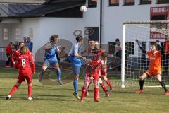 Kreisliga - Saison 2022/2023 - TSV Baar/Ebenhausen - SV Hundszell - Matthias Weinzierl #9 blau Hundszell - Markus Lindauer Torwart Ebenhausen - Foto: Meyer Jürgen