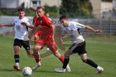 Bayernliga Nord - Saison 2023/2024 - FC Ingolstadt 04 - FC Coburg - Fabio Riedl (Nr.24 - FCI U21) - Ricardo König weiss Coburg - Foto: Meyer Jürgen