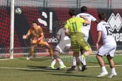 U17 DFB-Nachwuchsliga - Saison 2024/25 - FC Ingolstadt 04 - TSG Hoffenheim - David Creta gelb Hoffenheim - Omotolani Oladosu weiss FCI - San Carlos Lores Hernandes Torwart FCI - Foto: Meyer Jürgen