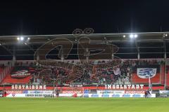 3. Liga; FC Ingolstadt 04 - Hallescher FC; Fan Fankurve Banner Fahnen Spruchband