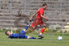 Bayernliga Nord - Saison 2023/2024 - FC Ingolstadt 04 - Würzburger FV 04 - Moritz Wiezorrek (Nr.15 - FCI U21) - Michel Dennie blau Würzburg - Foto: Meyer Jürgen