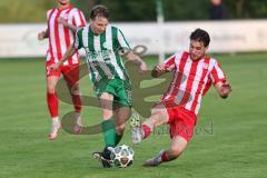 Landesliga - Saison 2025/26 - SV Manching - TSV Dachau  - Johannes  Dexl (Nr.13 - SV Manching) - Berkant Barin rot Dachau - Foto: Meyer Jürgen