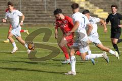 2023_10_21 - Saison 2023/24 - A-Junioren - FC Ingolstadt 04 - TSG 1899 Hoffenheim - Draculic Ognjen rot FCI -  - Erdal Izzez weiss dahinter Hoffenheim - Foto: Meyer Jürgen