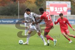 3. Liga; TSV Havelse - FC Ingolstadt 04; Zweikampf Kampf um den Ball Nishan Velupilay (28 FCI) Nduka Donald (27 TSV) Grzywacz Eryk (12 TSV)