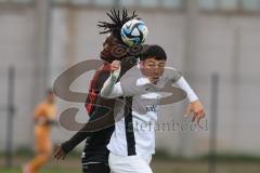 Bayernliga Nord - Saison 2024/25 - FC Ingolstadt 04 II - ATSV Erlangen - Said Souleymane (Nr.17 - FCI U21) - Döring Sebastian weiss Erlangen - Foto: Meyer Jürgen