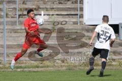 Bayernliga Nord - Saison 2023/2024 - FC Ingolstadt 04 - FC Coburg - David Udogu rot FCI - Foto: Meyer Jürgen
