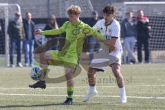 U17 DFB-Nachwuchsliga - Saison 2024/25 - FC Ingolstadt 04 - TSG Hoffenheim - Krystof Cizek gelb Hoffenheim - Amir Bytyqi weiss FCI - Foto: Meyer Jürgen