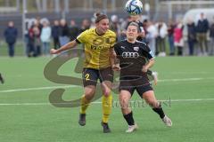 2023_11_12 - 2. Bundesliga - Saison 2023/24 - FC Ingolstadt 04 Frauen - SV 67 Weinberg - Pija Reininger (Nr.21 - FCI Frauen) - Grimm Anna gelb Weinberg - Foto: Meyer Jürgen