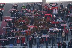 2.BL; FC Ingolstadt 04 - SV Sandhausen; vor dem Spiel Fan Fankurve Banner Fahnen Spruchband