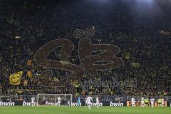 DFB Pokal; Borussia Dortmund - FC Ingolstadt 04; Fankurve Stadion Fahnen Banner