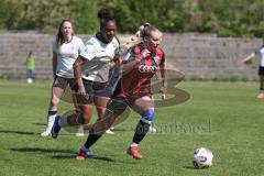 2. Bundesliga Frauen - Saison 2025/26 - FC Ingolstadt 04 Frauen - Borussia Mönchengladbach - Jenny Beyer (Nr.8 - FC Ingolstadt Frauen I) - Jonas Baidoe Lili Orchid Nancy weiss M`Gladbach  - Foto: Meyer Jürgen